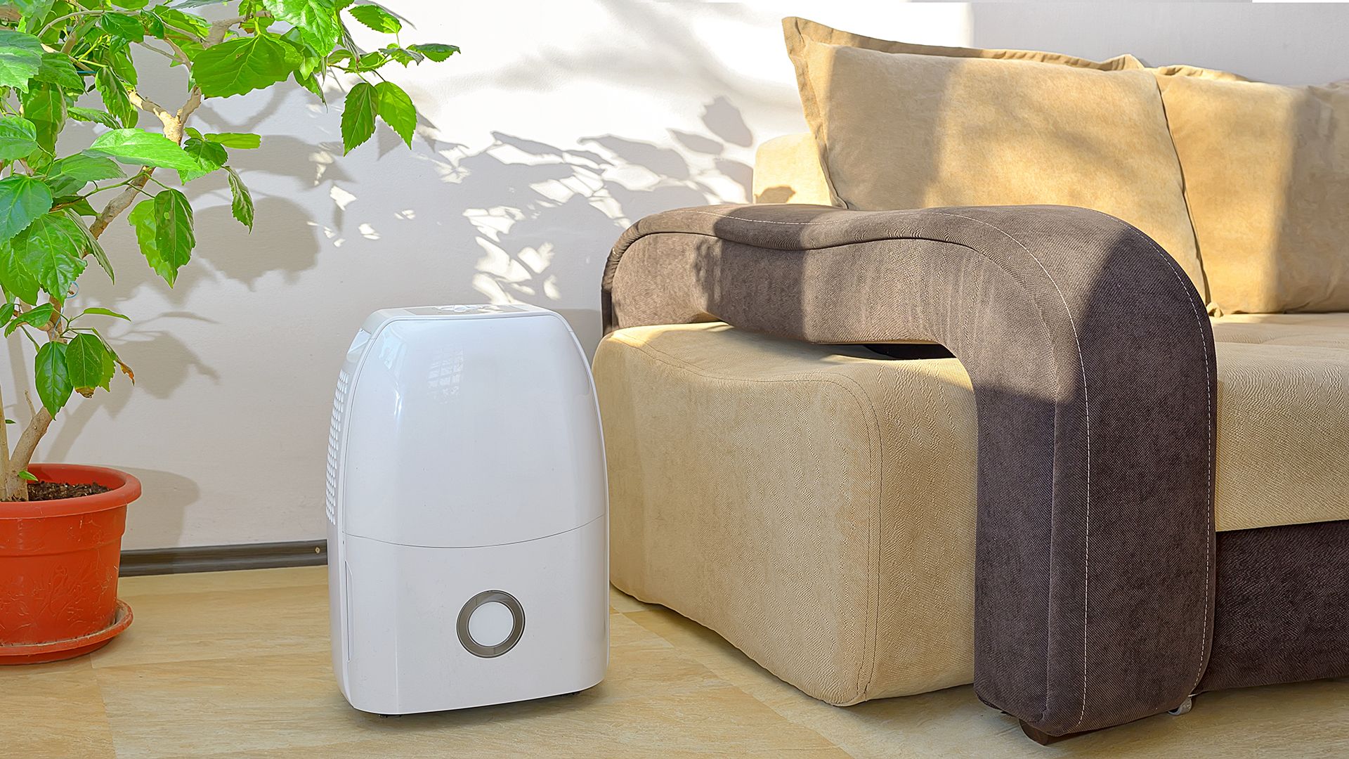 5 Reasons Why Every UAE Home Needs a Dehumidifier