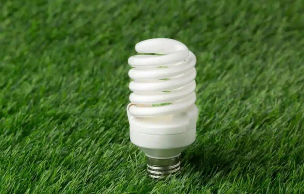 How to Identify a High-Quality UV Bulb for Your Needs?