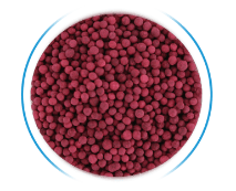 Blend-768x7681-1